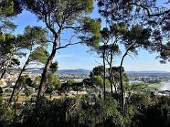 183 HYERES ET SES PALMIERS D15_000039